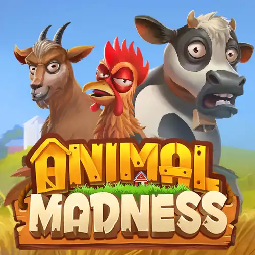 Animal Madness