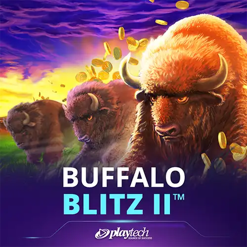 Buffalo Blitz Ii